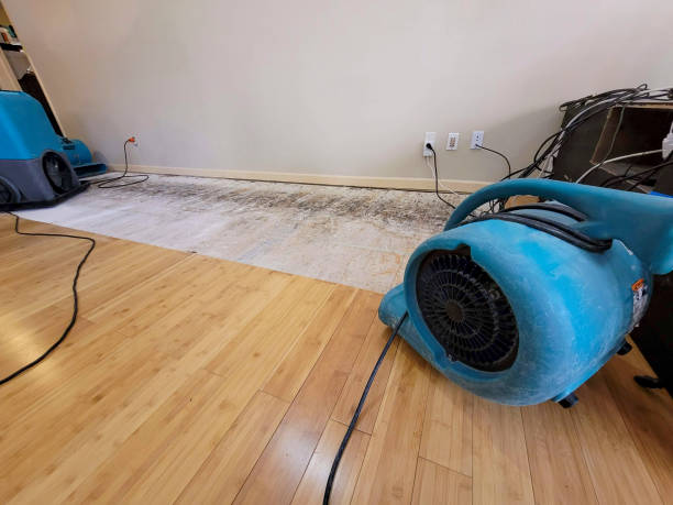Professional Flood Damage Cleanup technician working in Perkiomenville, PA